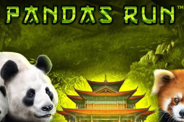 Panda's Run Slot