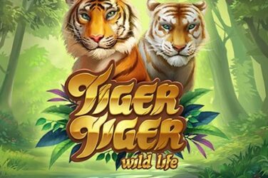 Tiger Tiger Slot