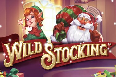 Wild Stocking Slot