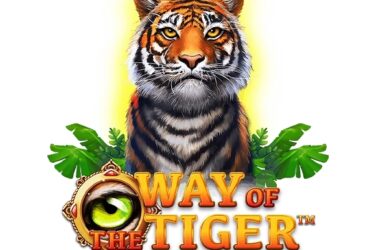 Way of the Tiger Slot